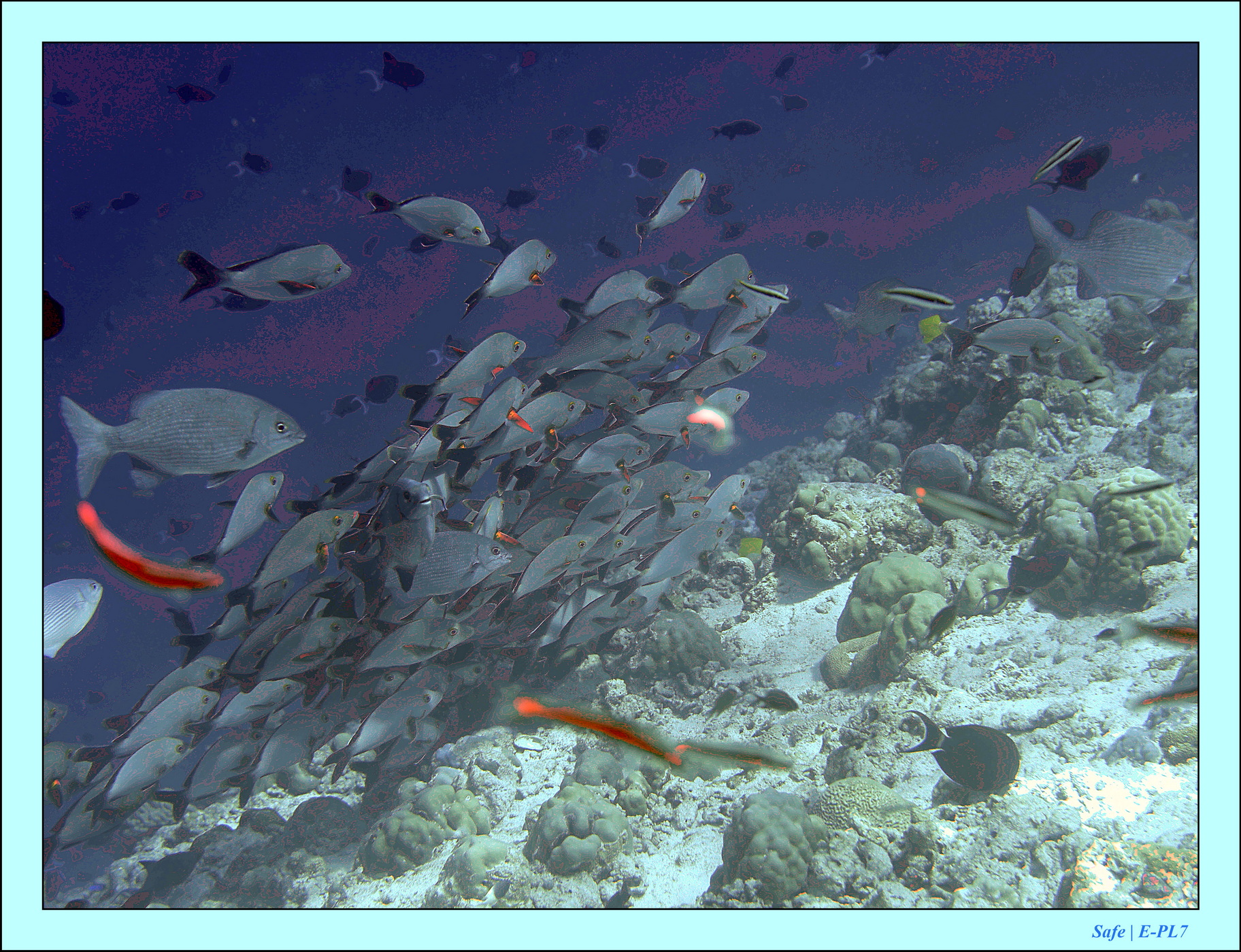 2023 - 07 - Sandies Bathala - 170